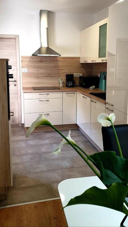 Apartman Ela Donji Rukavac Extérieur photo