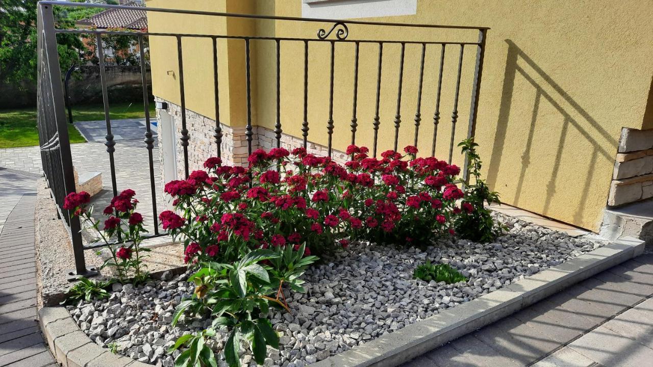 Apartman Ela Donji Rukavac Extérieur photo
